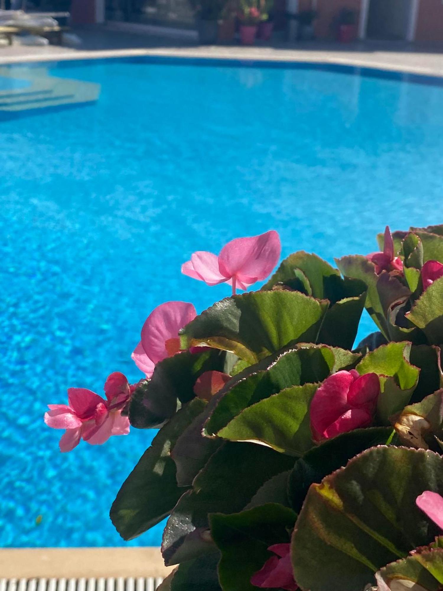 Paradiso Hotel Sea View And Pool Suites Ipsos Corfu Exterior photo